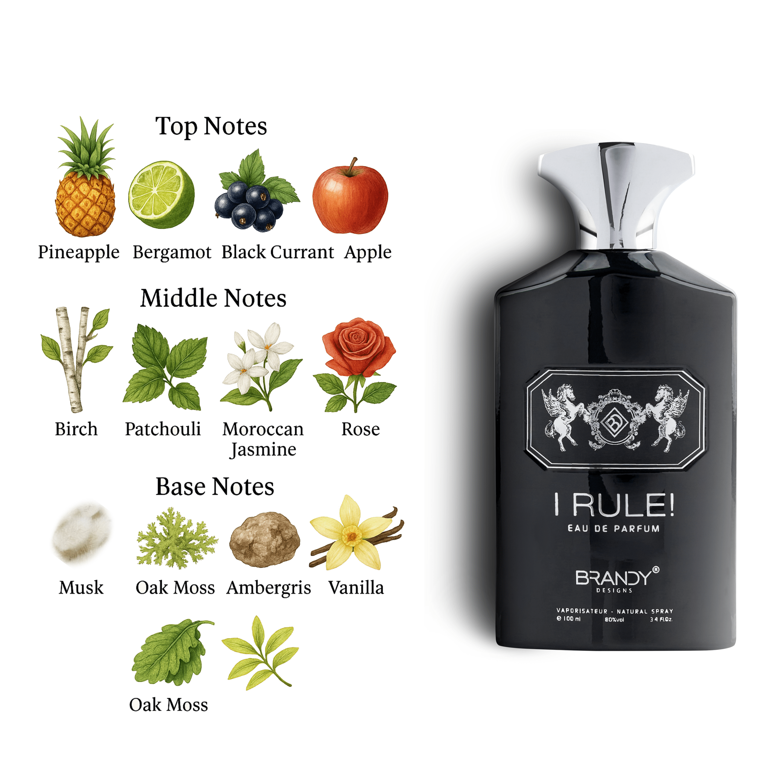 I Rule Eau De Parfum For men – 100ml